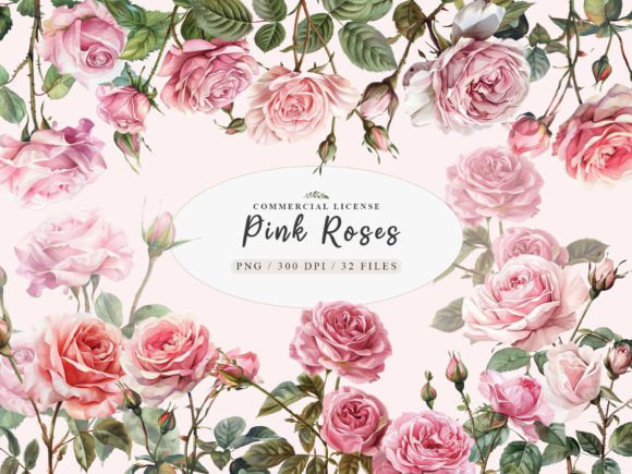 Download Watercolor Pink Rose Clipart, Blush Rose - Lush Collection